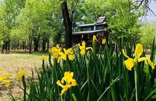 San Antonio de Arredondo Ski Chalet | NOMADE cabin rent