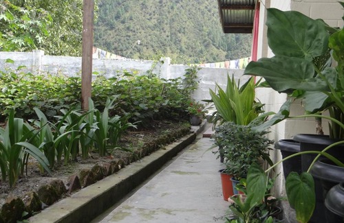 Bomdila House | Norbu homestay