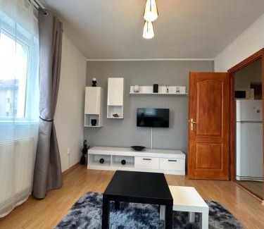 Singeorgiu de Mures Apartment | Nordului Apartment