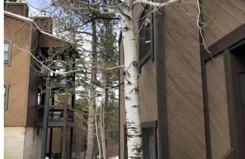 Truckee House | Northstar Ski Chalet! Great Location at ski resort.