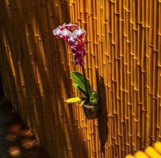 Rio das Pacas House | Nosso Mar