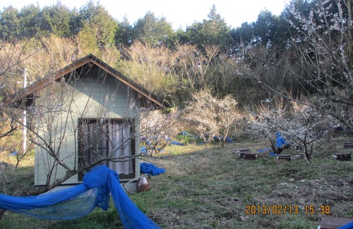 Tanabe House | Nouka Minpaku Mirainouen