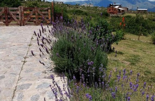 El Mollar Ski Chalet | NUESTRO PAISAJE