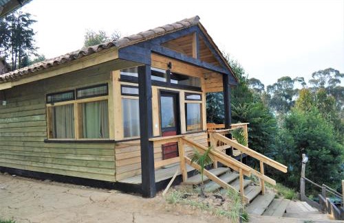 Kitabi Cabin | Nyungwe Nziza Ecolodge