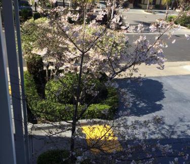 Palo Alto Hotel | Oak Motel