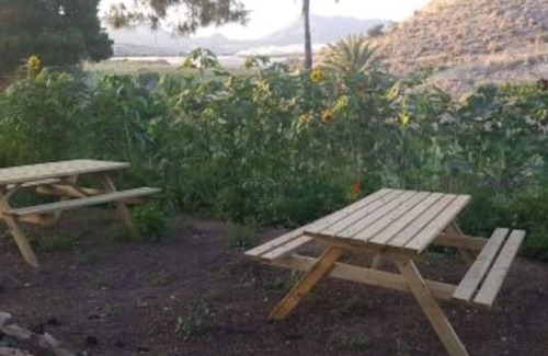 Barranco de Seca House | Oasis de Ifre.