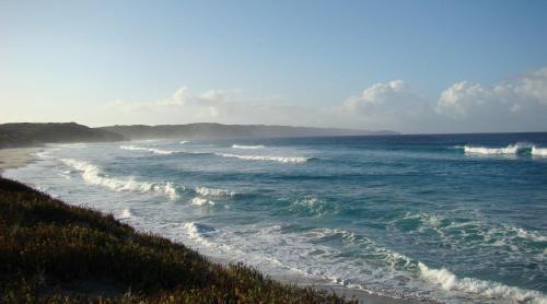 Ocean Beach Ski Chalet | Ocean Beach Hideaway