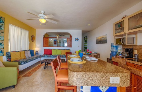 Akumal Condo | OCEAN FRONT! 2 bed/2 bath*GROUND FLOOR* a/c* MAID!