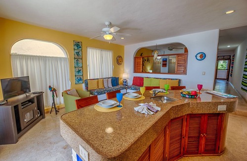 Akumal Condo | OCEAN FRONT! 2 bed/2 bath*GROUND FLOOR* a/c* MAID!