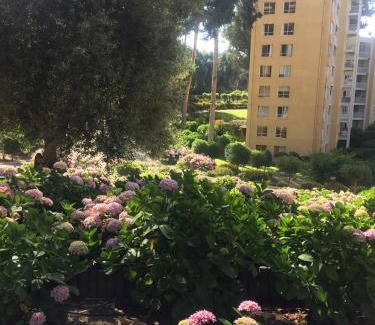 Caleta Horcon Apartment | Ocean View Apartment in Family Complex