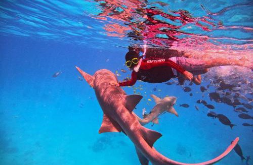 Kudahuvadhoo House | Oceana Inn Maldives - Snorkeling, Sandbank & Surfing Adventures in Kudahuvadhoo Island