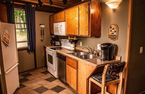 Puposky Cabin | Octagon Cabin Getaway - Outdoor Lounge & Cozy Firepit