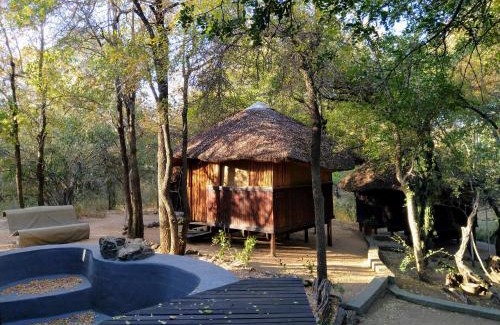 Hoedspruit Cabin | Off Beat Safaris Bush Lodge
