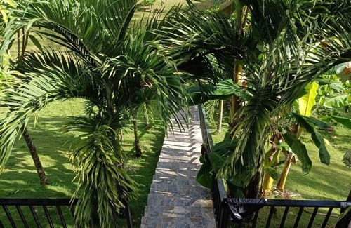 Gaspar Hernandez Other | Ojo de agua Eco Ranch