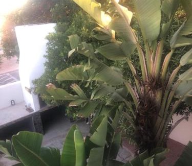 Port Owen Apartment | Old Cape on the Marina - De Pond : Unit 6