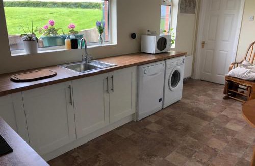 Down Apartment | Old Egg Shop