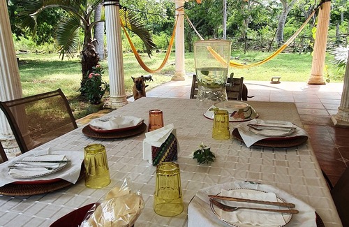 Yucatan Peninsula House | Old yucateca hacienda with private cenotes and horses included, animals allowed