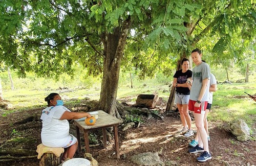 Yucatan Peninsula House | Old yucateca hacienda with private cenotes and horses included, animals allowed