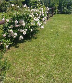 Cecina Apartment | Oleandro Cottage with garden