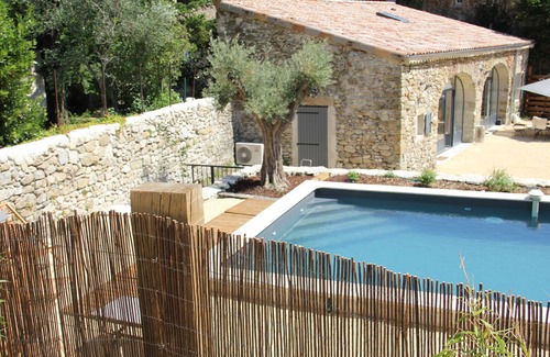 Saou House | Olive trees