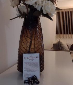 Candeias Apartment | Olivia Flores great location