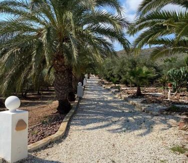 El Pozo de los Frailes Villa | Olivos y Playa