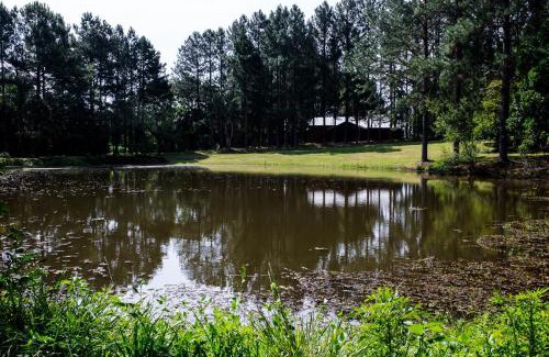 Viamao Bed & Breakfast | OM B&B + Spa