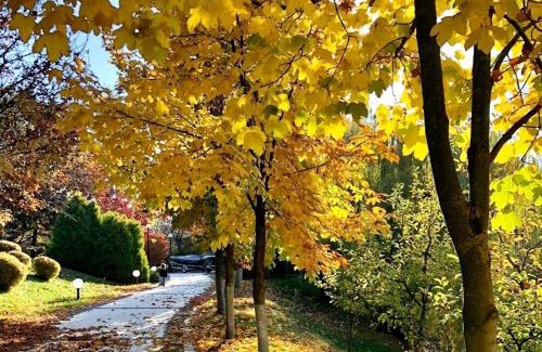 Lesniki Villa | On The River