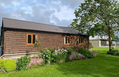 Newcastle Emlyn House | One Bebroom Log Cabin