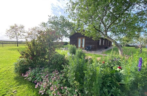 Newcastle Emlyn House | One Bebroom Log Cabin