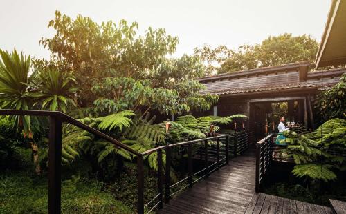 Gisakura Cabin | One&Only Nyungwe House