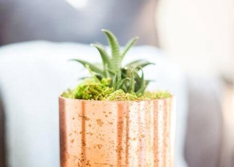 Riverland Terrace House | Open and Comfy home near Downtown-Folly Beach