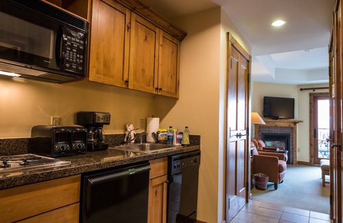 Crested Butte Cabin | Open-Concept Suite | Fireplace | Near the Slopes