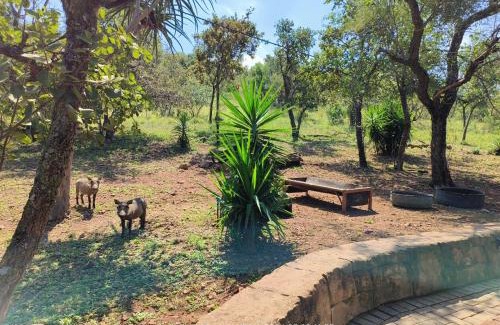 Kranspoort Vakansiedorp House | Oppi Stoep