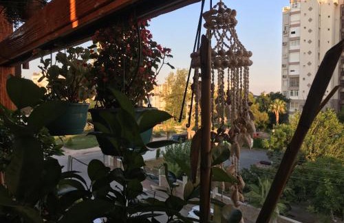 Eski Lara House | Orange Garden