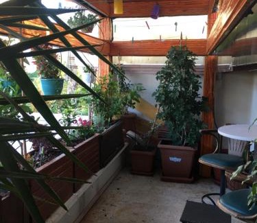 Eski Lara House | Orange Garden