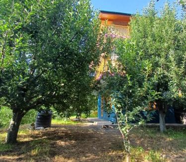 Manali House | Orchard Bliss