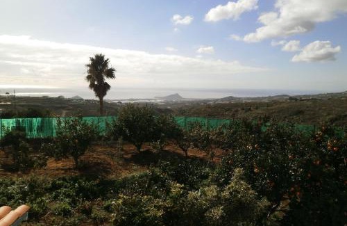 Granadilla de Abona Apartment | Orchard Cottage