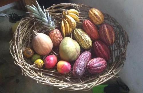 Maromba Bed & Breakfast | Orgânica-Mente B&B