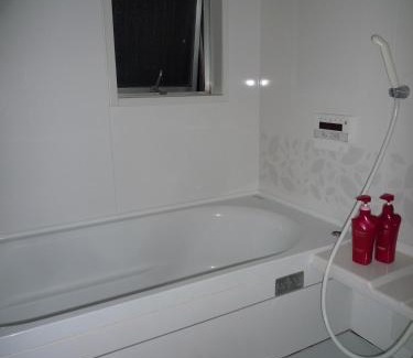 Higashisumiyoshi-ku House | Osaka Kuma House