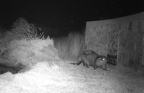 Pringle Bay Apartment | Otter Cottage in Pringle Bay