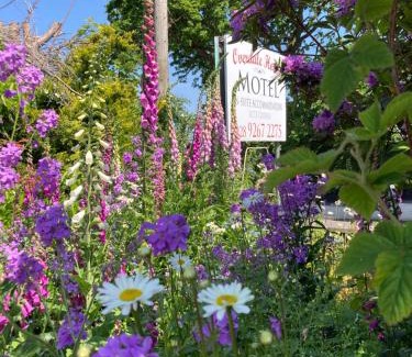 Lisburn Hotel | Overdale Motel