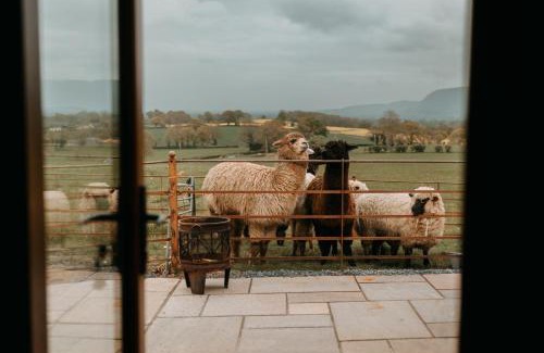 Llansantffraid-ym-Mechain House | Owl Hollow