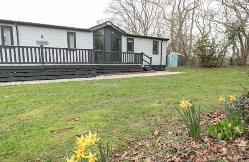 Wimborne House | Owls Nest