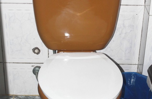 Amazon River Hotel | OYO Hotel Tbs