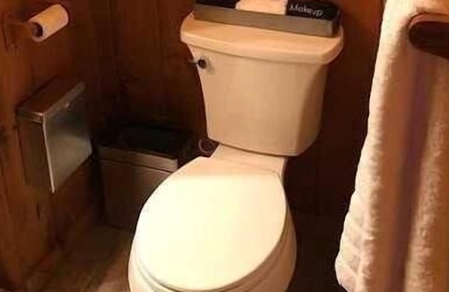 Teresita House | Ozark Getaway! Near Jacks Fork River with Free Parking! Pets Allowed!