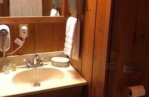 Teresita House | Ozark Getaway! Near Jacks Fork River with Free Parking! Pets Allowed!