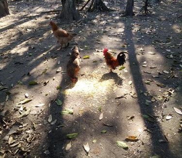 Tremembe House | Pé na Roça chácara - um fim de semana tranquilo na roça