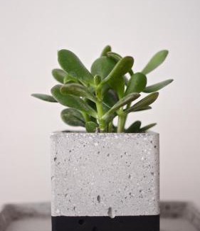 Livadi Apartment | Pénde Suites