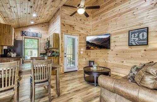 Cosby Cottage | Painted Sky- Pickleball Court, Creek, WIFI, Mountain Views, Starting at $79"
